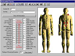 ErgoMaster人体姿态/伤害评估系统