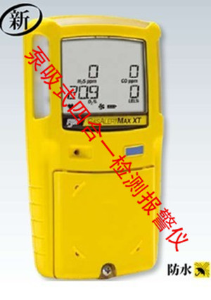 BW泵吸式复合气体检测仪