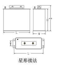 BSMJ自愈式并联电容器接线力图_电力电容器型号规格